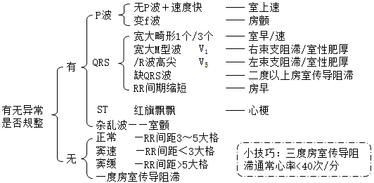 心電圖解題步驟.png