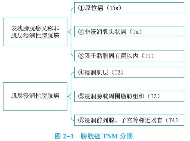TNM分期标准.jpg