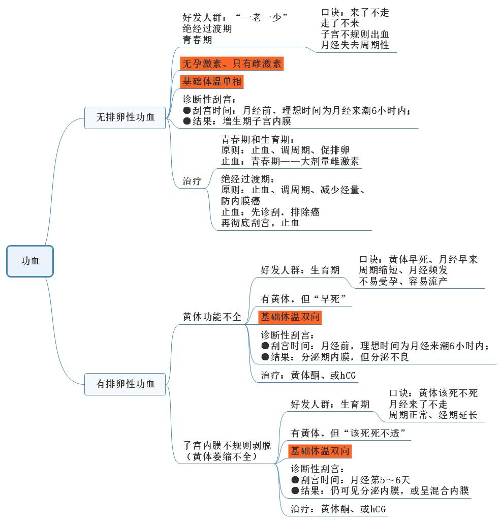 功血知識(shí)點(diǎn)歸納思維導(dǎo)圖.jpg