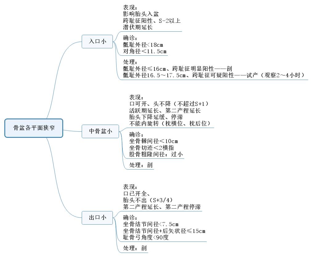 骨盆各平面狭窄总结思维导图.jpg