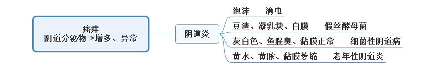 阴道炎鉴别的思维导图.jpg