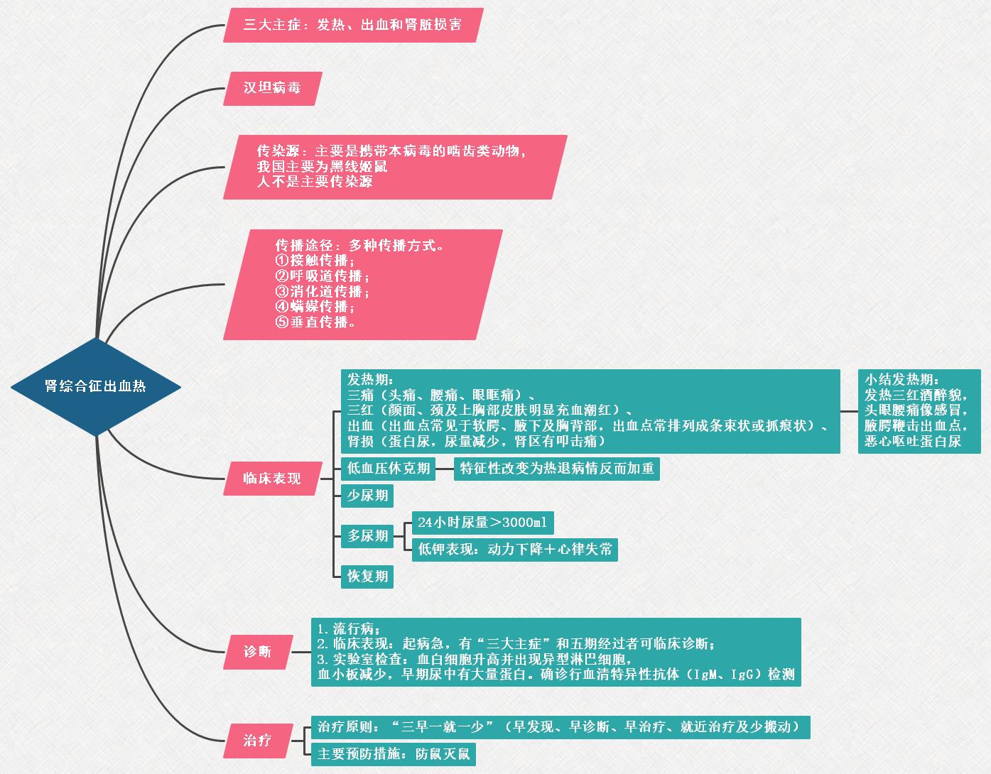 肾综合征出血热思维导图—临床助理医师医学综合考试二试