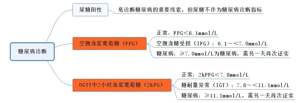 代谢、内分泌系统.jpg