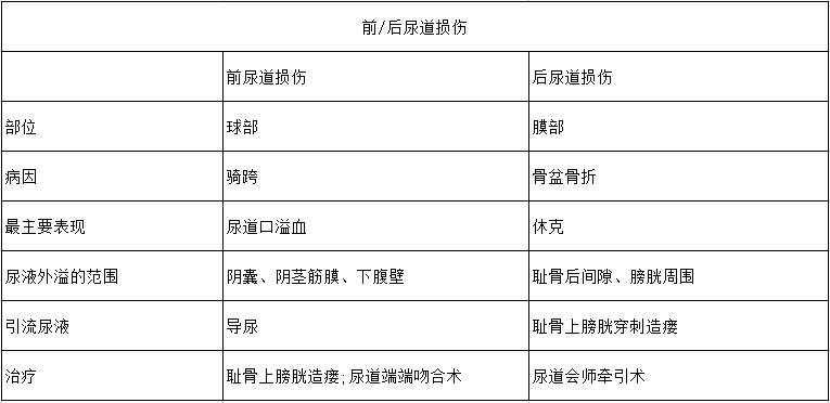 臨床執(zhí)業(yè)醫(yī)師泌尿系統(tǒng)考試