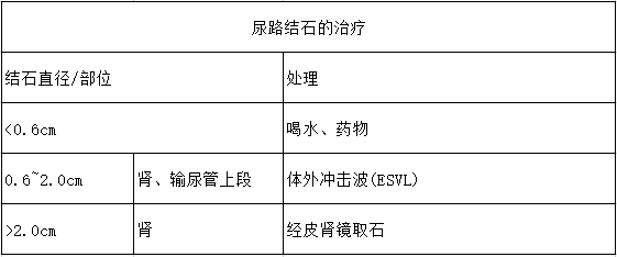 臨床執(zhí)業(yè)醫(yī)師泌尿系統(tǒng)考試