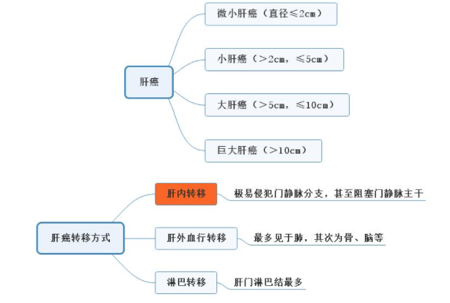 肝癌知識(shí)點(diǎn).png