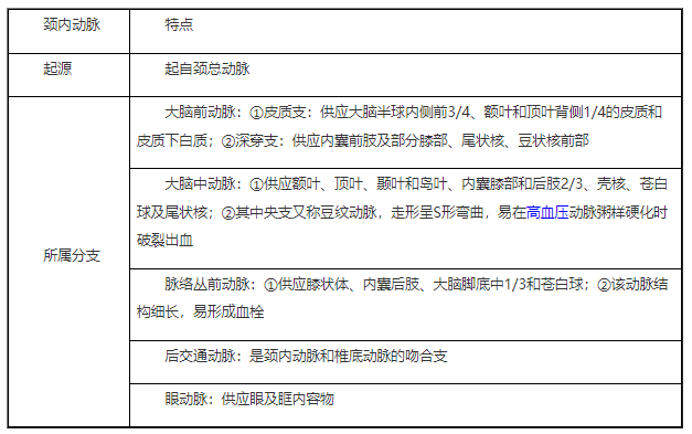 2022年臨床助理醫(yī)師二試/延考知識點|頸內(nèi)動脈特點.png