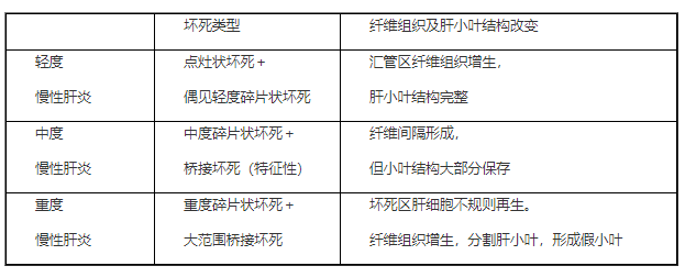 慢性普通型肝炎分度.png