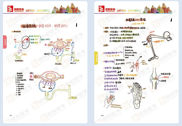 臨床手繪筆記.png