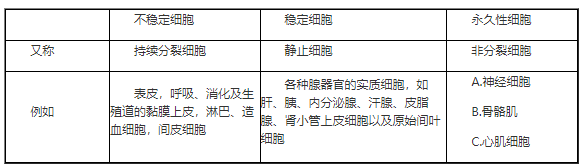 2023年臨床助理醫(yī)師綜合考試考點(diǎn)總結(jié)|各種細(xì)胞再生潛能.png