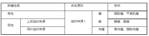 腫瘤命名原則|2023年臨床助理醫(yī)師綜合考試考點(diǎn).png