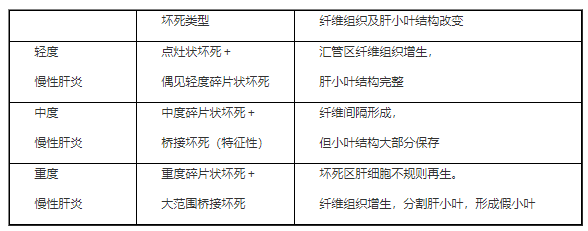 2023年臨床助理醫(yī)師綜合考試考點(diǎn)—慢性普通型肝炎分度.png