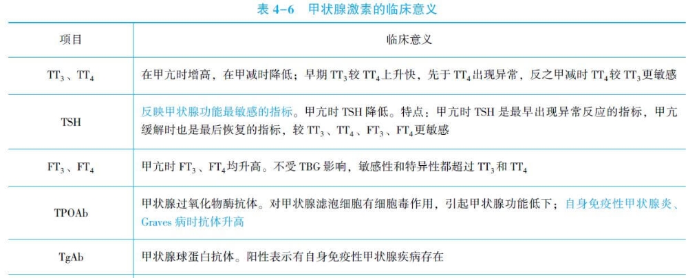 甲狀腺激素的臨床意義.jpg