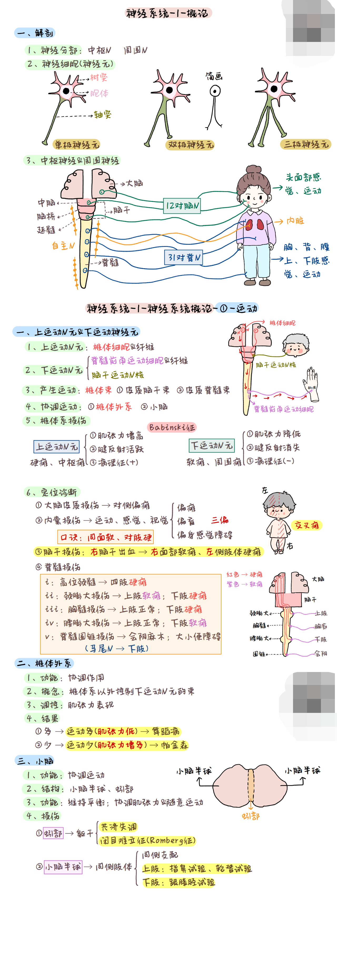 临床执业医师高频考点