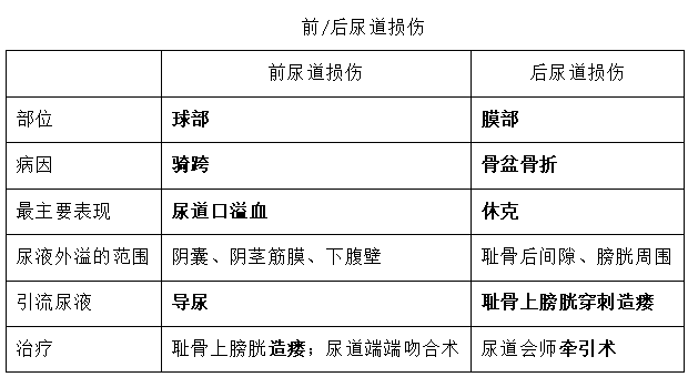 医师资格考试二试